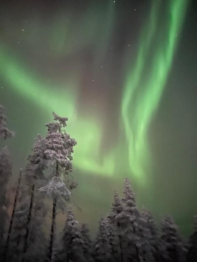 Villa Levi Sensu - Levi Sky Igloos Sirkka Esterno foto